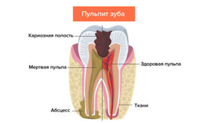 стоматология Ортос